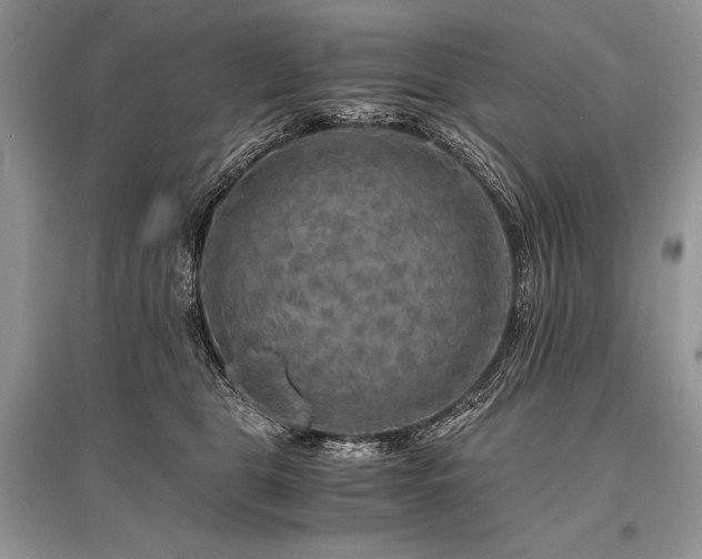 X0000096380469200801241241