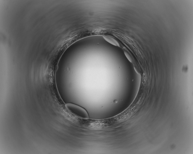 X0000096380470200801241241