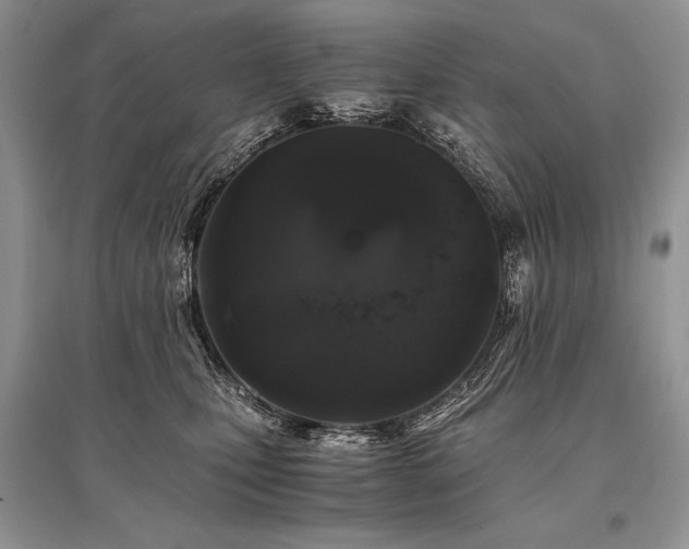 X0000096380471200801241241