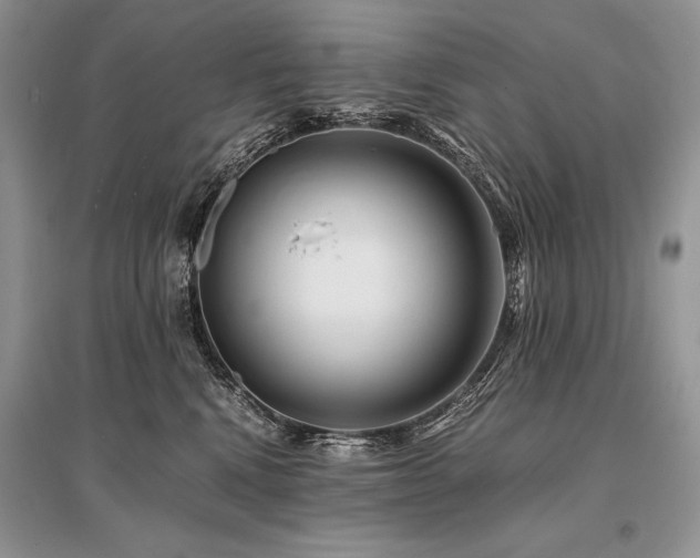 X0000096380472200801241241