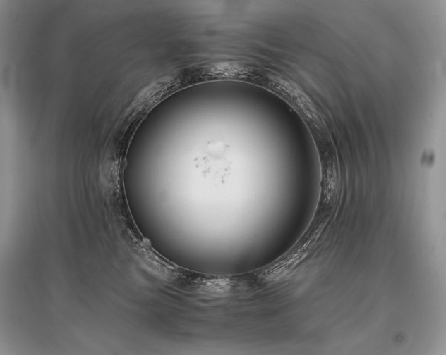 X0000096380473200801241241