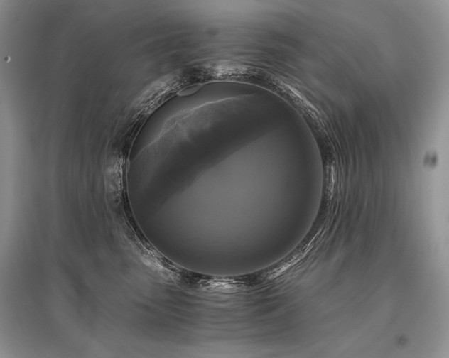 X0000096380475200801241241