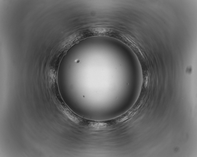 X0000096380476200801241241