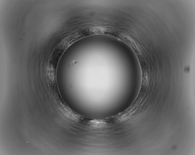 X0000096380477200801241241