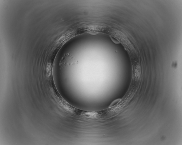 X0000096380478200801241241