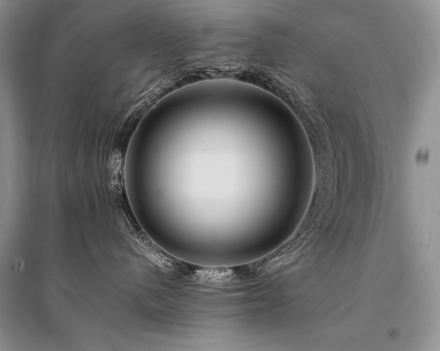 X0000096380480200801241241