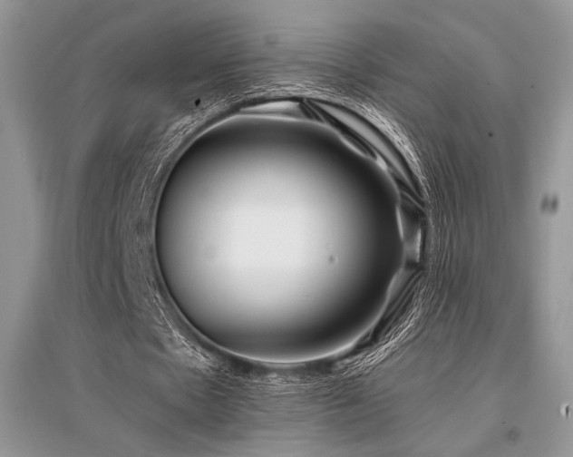 X0000096380481200801241240