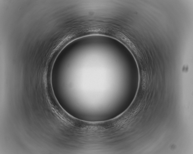 X0000096380482200801241240