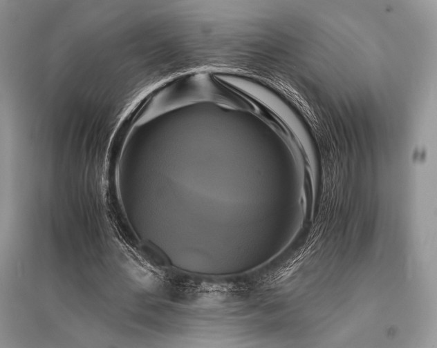 X0000096380484200801241240