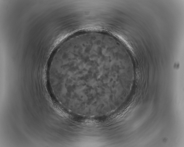 X0000096380487200801241240