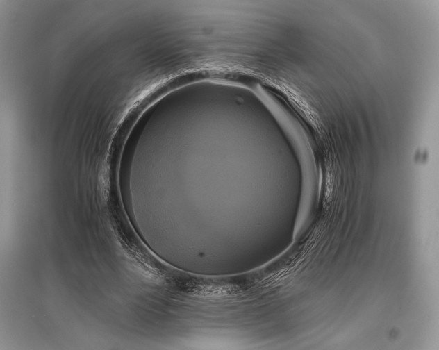 X0000096380488200801241240