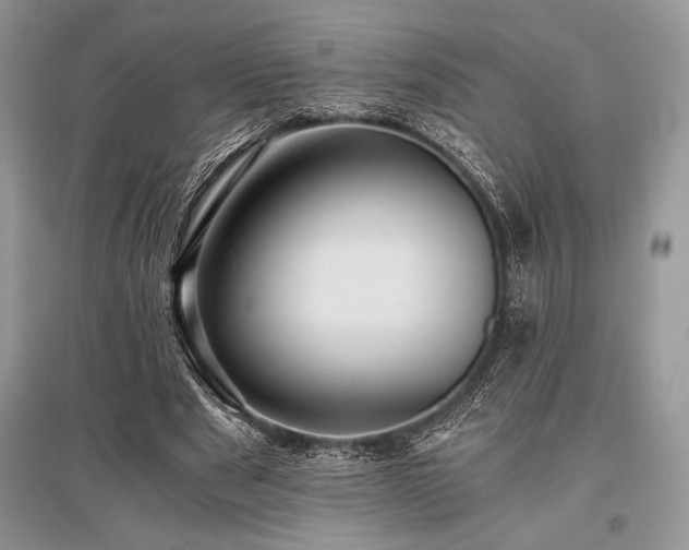X0000096380489200801241240