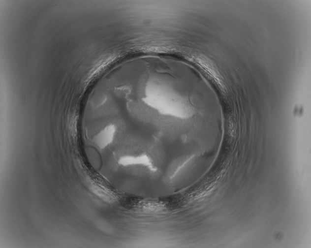 X0000096380491200801241240