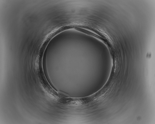 X0000096380492200801241240