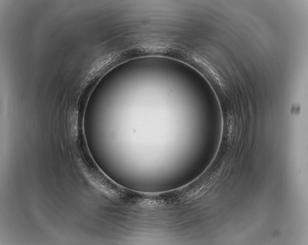 X0000096380494200801241240