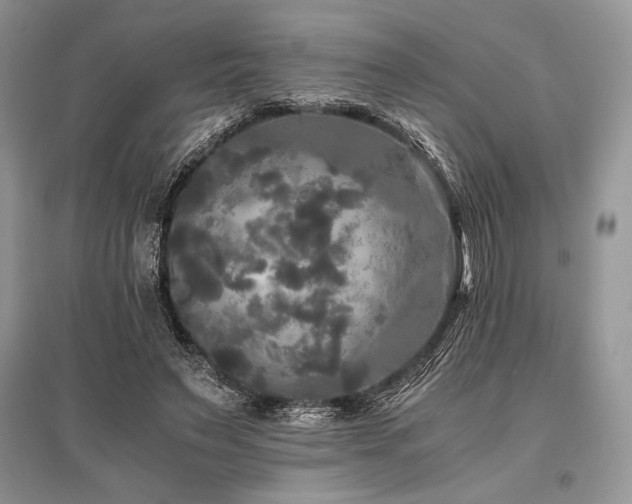 X0000096380495200801241240