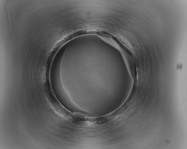X0000096380496200801241240