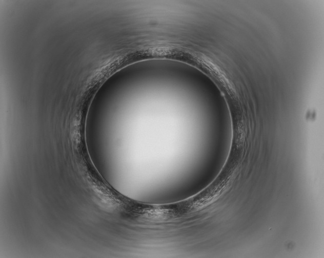 X0000096380497200801241240