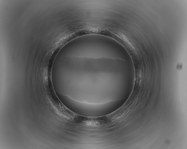 X0000096380500200801241240