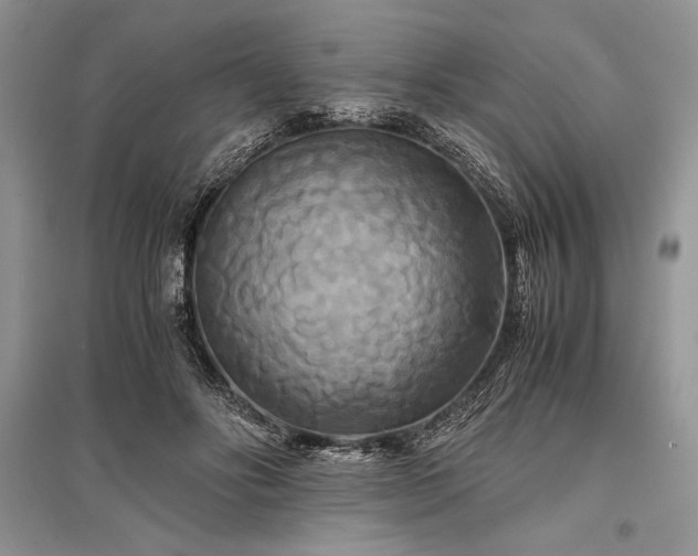 X0000096380502200801241240