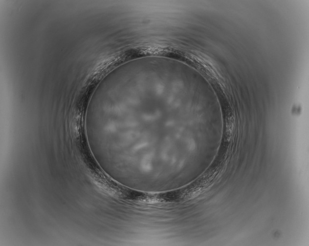 X0000096380503200801241240