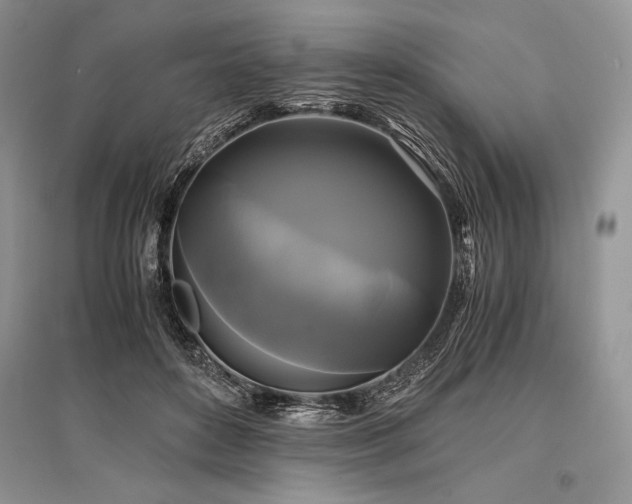 X0000096380504200801241240