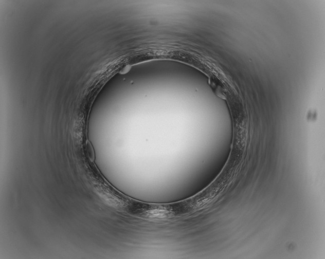 X0000096380505200801241240