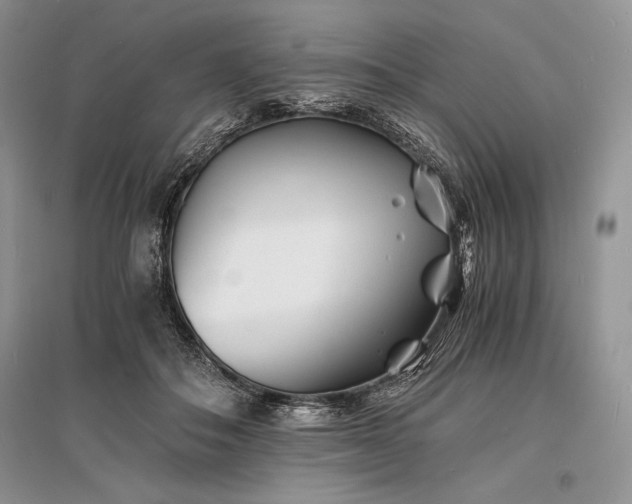 X0000096380506200801241240