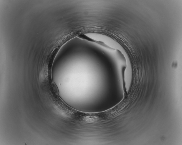 X0000096380508200801241240