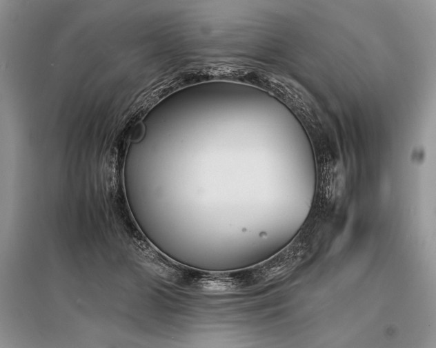 X0000096380510200801241240