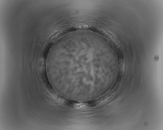 X0000096380511200801241240