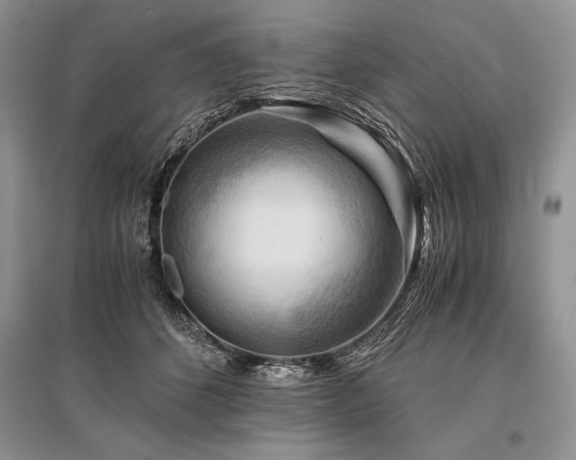 X0000096380512200801241240