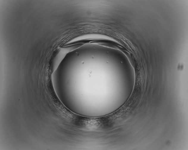 X0000096380513200801241240