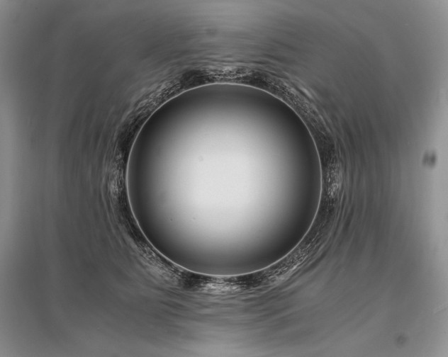 X0000096380515200801241240