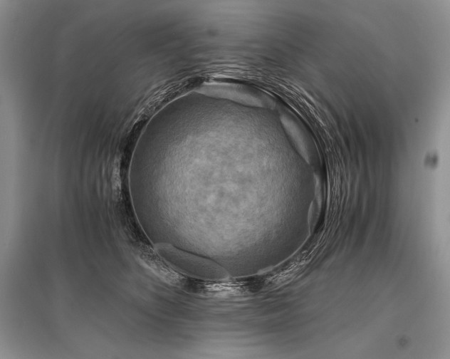 X0000096380516200801241240