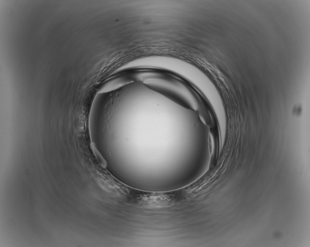 X0000096380517200801241240