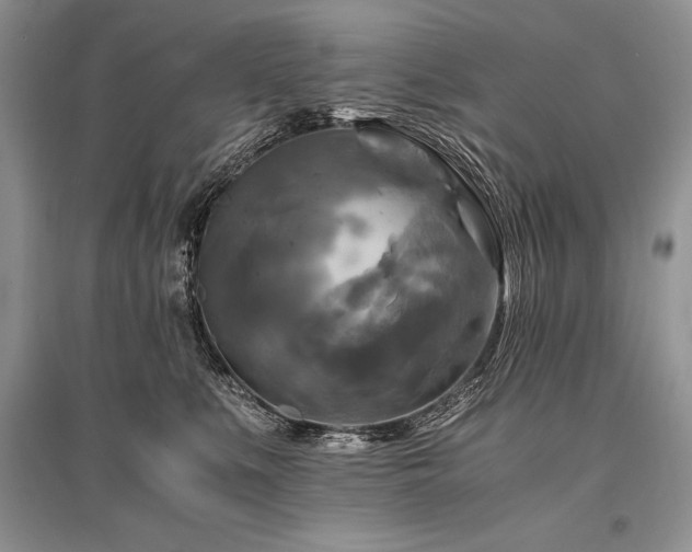 X0000096380519200801241240