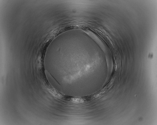 X0000096380520200801241240