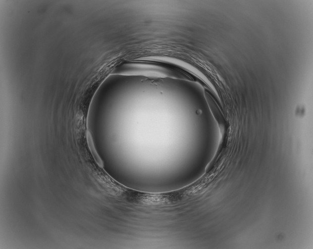 X0000096380521200801241240