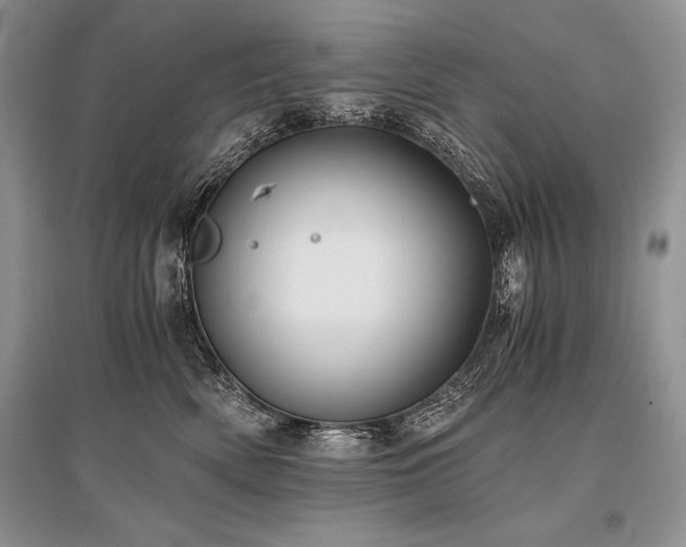 X0000096380522200801241240