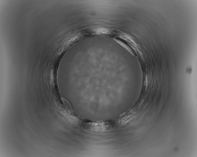 X0000096380524200801241240