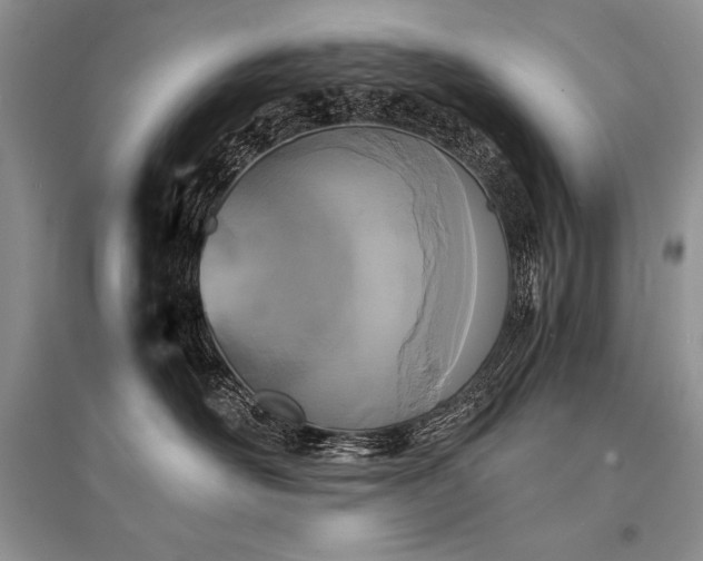 X0000096380526200801241240