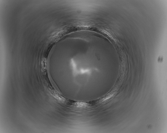 X0000096380528200801241240