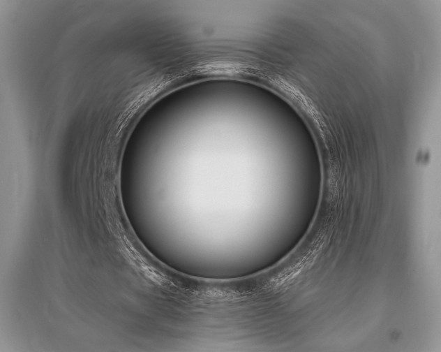 X0000096380529200801241239