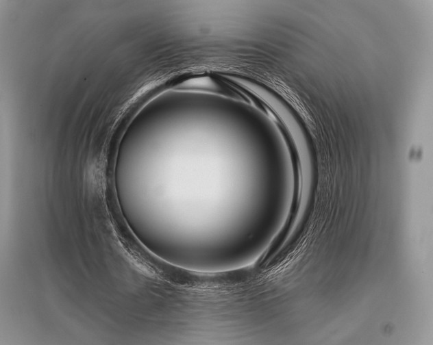 X0000096380530200801241239