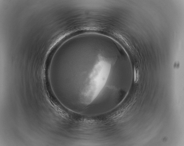X0000096380531200801241239