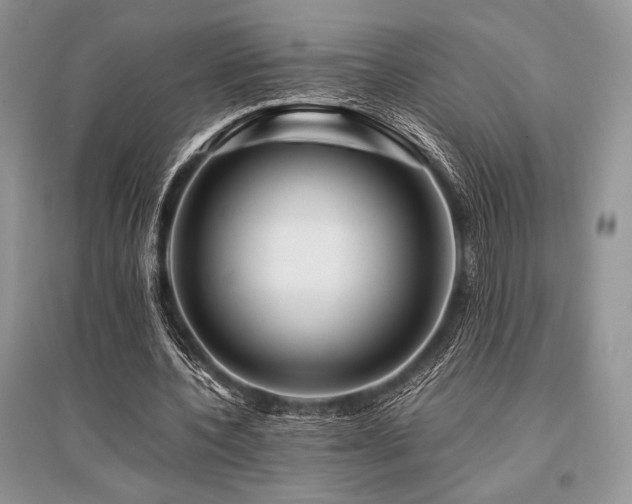 X0000096380532200801241239