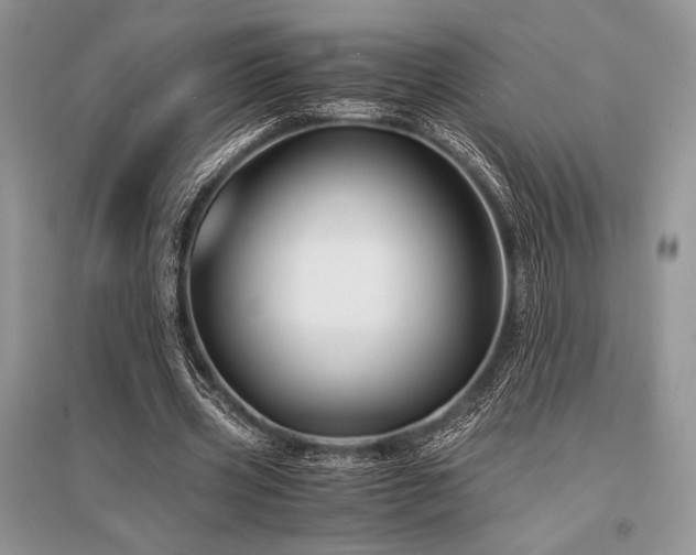 X0000096380533200801241239