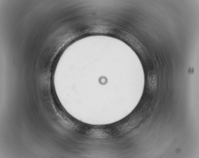 X0000096380534200801241239