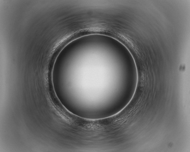 X0000096380535200801241239